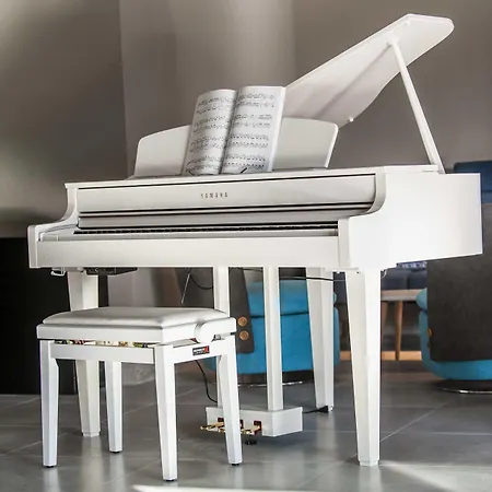 Le Spinaker Le Grau-du-Roi